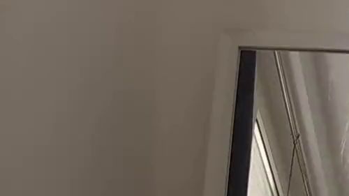 Download: Terras-Wildlife - Anal Phänomenal