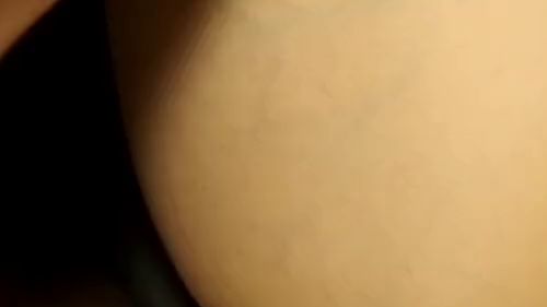 Download: Terras-Wildlife - Fuck Compilation