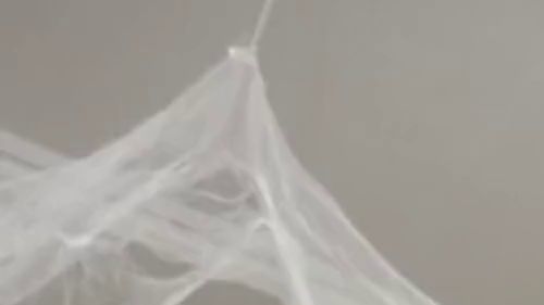 Download: Theona - heiße Halloween-Tänze (ohne Ton)