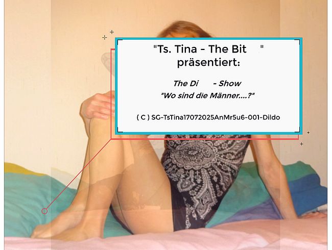 Download: TsTinaTheBitch - Ts Tina - The Bitch präsentiert: 