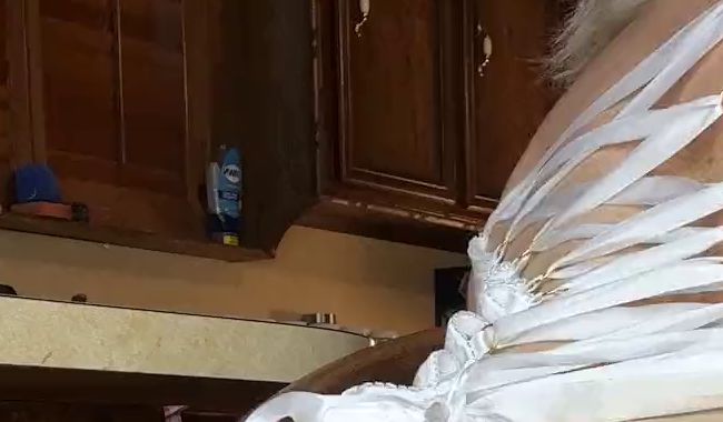 Download: Valencia_Wild - Sex in der Küche Dildo Pussy Ride