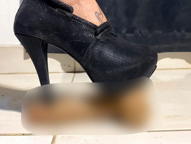 Download: VelvetLiquid - Meine HIGH HEELS zerquetschen deinen HARD-Schwanz