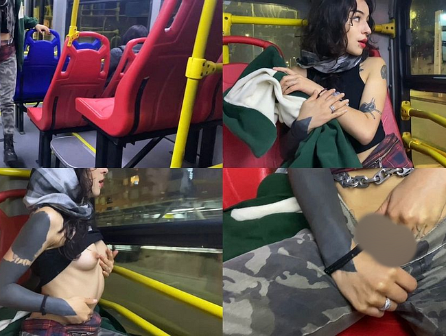 Download: VelvetLiquid - MASTURBATION IN ÖFFENTLICHEN VERKEHRSMITTELN