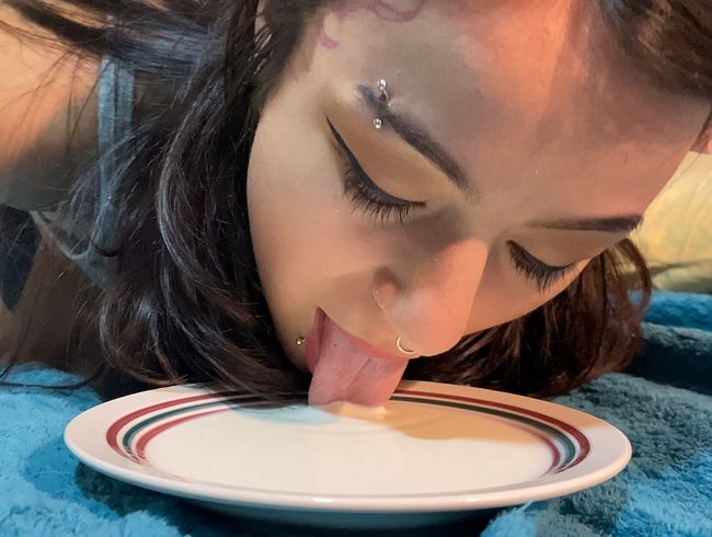 Download: VelvetLiquid - Kätzchen trinkt Milch