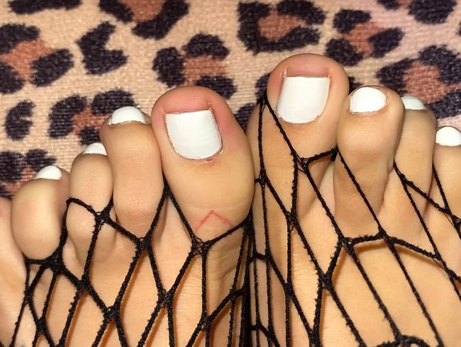 Download: VelvetLiquid - süße FÜSSE spielen zwischen den NETZSTRÜMPFEN