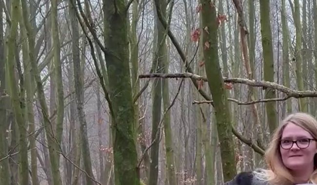 Download: VivianMae - Ein kleiner Strip im Wald ?