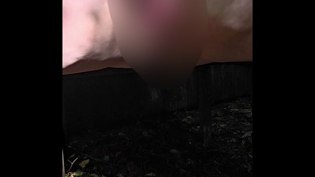 Download: Wallentinafreak - Einfach laufen lasse. :P