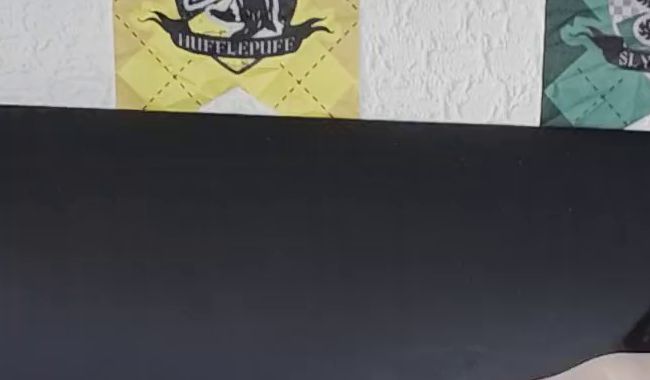 Download: Wallentinafreak - Ellenbogen lange Latexhandschuhe verwöhnen Hintertürchen :P