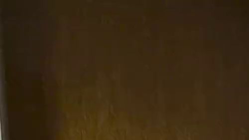 Download: Wallentinafreak - Im Netzbody reite ich den Dildo und dann darf er auch mal hinten rein