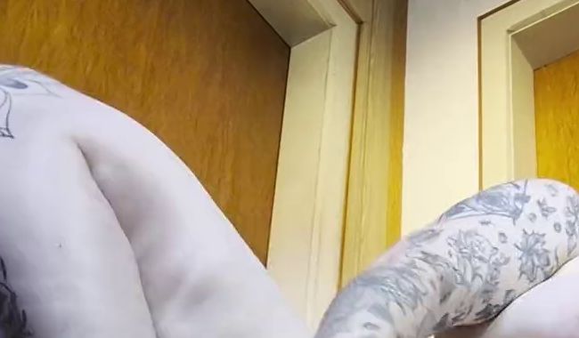 Download: Wallentinafreak - Verschiedene Stellungen mit 2 Dildos