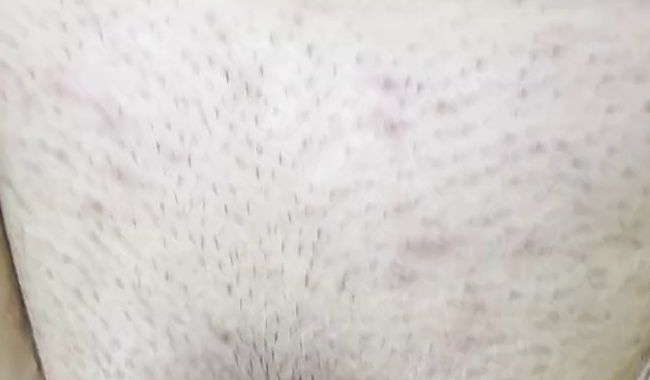 Download: Wildekaiserin80D - Geil in den Arsch gefickt