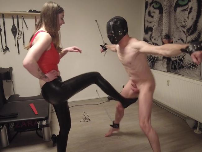 Download: Zara-Bizarr - Ballbusting - Extremes CBT für den User Sklaven