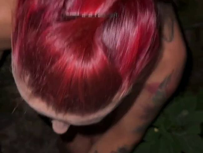 Download: __sexy-kitty__ - Outdoor-Quickie … geblasen, von hinten gefickt und auf meinen Arsch gespritzt