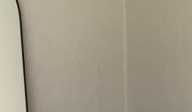 Download: avaexklusiv - Ich verwohne meine Ficklöcher