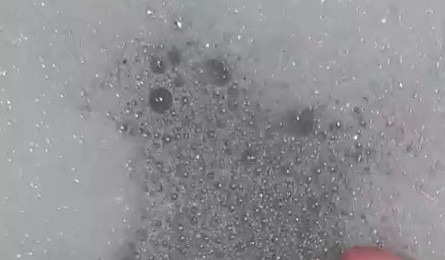 Download: bavariabull - Showerpower2