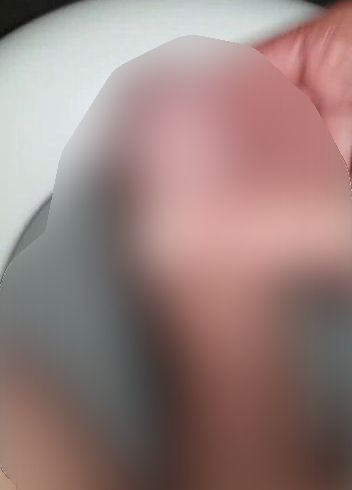 Download: bavariabull - Der Toilettenwichser