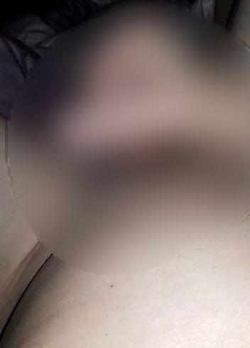 Download: bavariabull - Kleines Spritzvideo