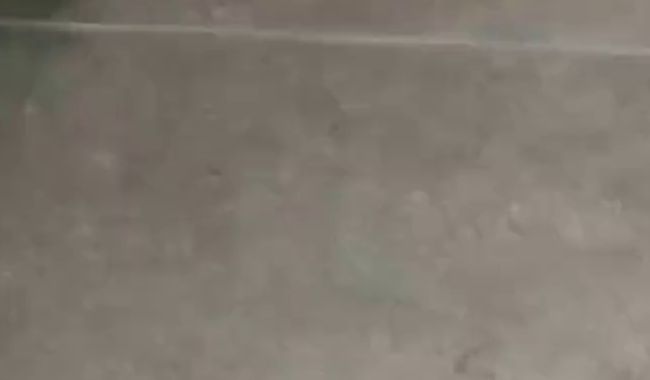 Download: bavariabull - Ich mach es mir täglich bis zum Schluss. Das wollte die Schwiegermutter sehen.