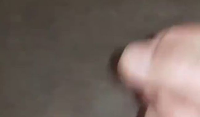 Download: bavariabull - Geschüttelt oder gerührt? Keine Sorge, bei mir wird nur geschüttelt.