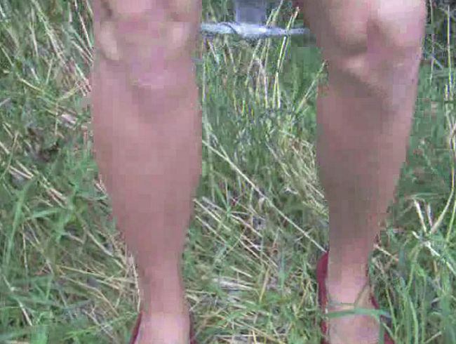 Download: blondehexe - 6 x Pissspaß