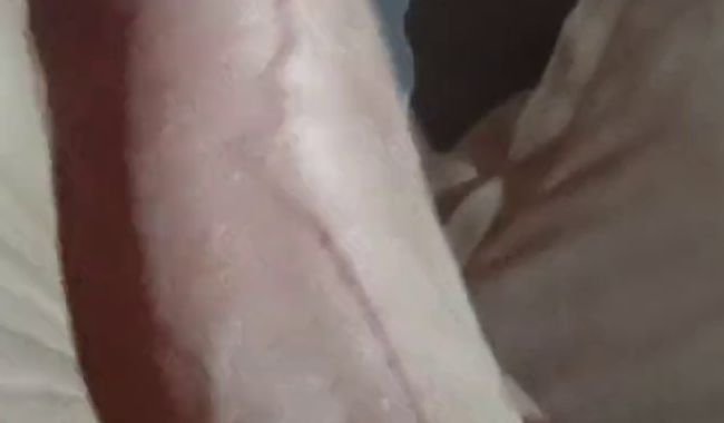 Download: bohrherr - Ein wenig mit der Palme gewedelt und mit den Eiern gespielt...