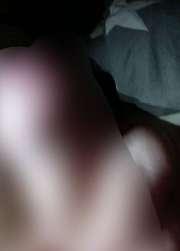 Download: bohrherr - Facefuck nochmal geil abgewichst die Latte.