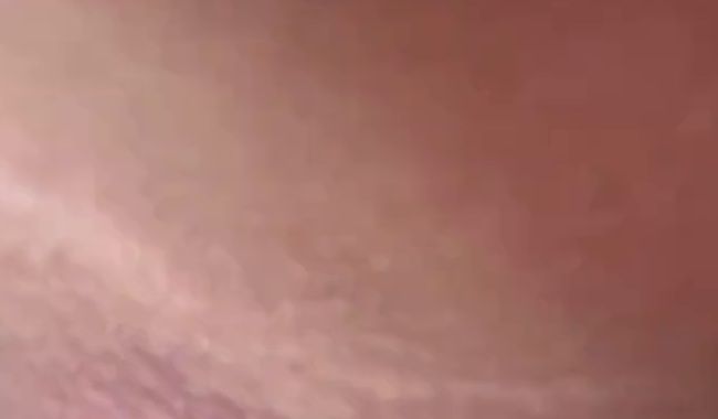 Download: clrapanties - Ich spiele mit meinem Analplug
