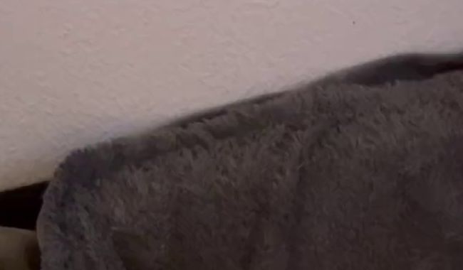 Download: clrapanties - Meine Titten Werden massiert