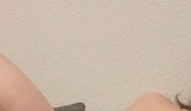 Download: clrapanties - SB mit Lieblingsvibrator