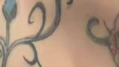 Download: cutebunnydragon - Ein netter kleiner Wurf