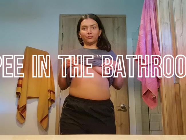 Download: denissetits - Ich pinkle im Badezimmer