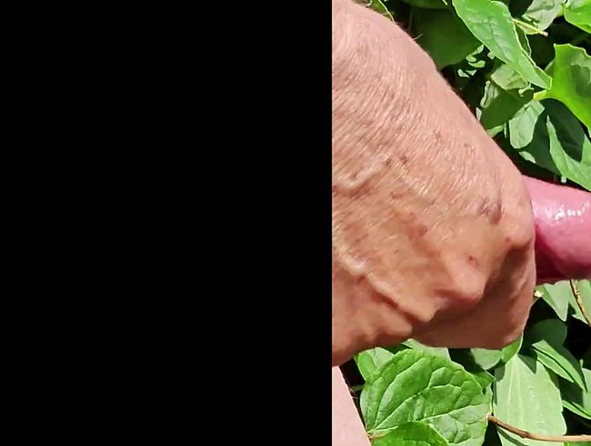 Download: dieZeiggeilen3 - Die Kirschenernte hat begonnen, Teil 02, es kommt wies kommen muss