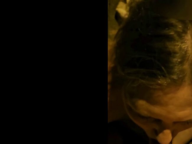 Download: dieZeiggeilen3 - Splitternackt um 23 Uhr auf dem Heimweg: Der Film