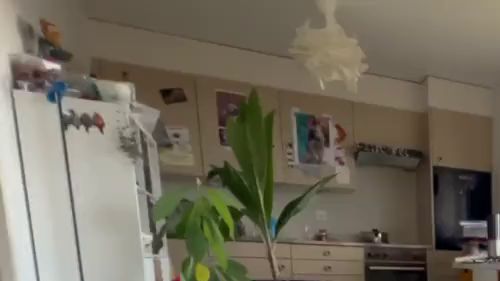 Download: dieZeiggeilen3 - Blow Job und hart abwixxen 01