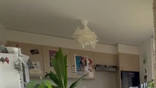 Download: dieZeiggeilen3 - Blow Job und hart abwixxen 02