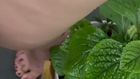 Download: gwenchase - Lustige Pinkeln