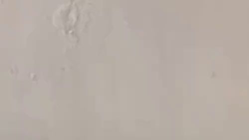 Download: gwenchase - Haargummi?