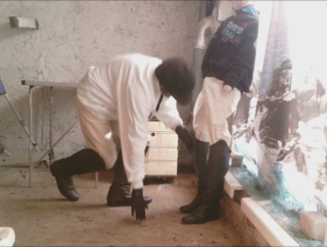 Download: henry029 - spaß mit männlicher gummipuppe