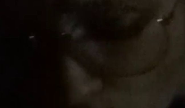 Download: lionscagefantasy - Deepthroat Glück! Das ist mein BlaseHase! Luft anhalten!..Sie bekommt auch keine mehr....