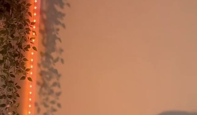 Download: lisanimmersatt69 - omg der saft läuft ,ir aus