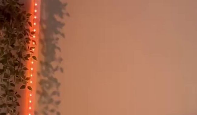 Download: lisanimmersatt69 - dildo reiten