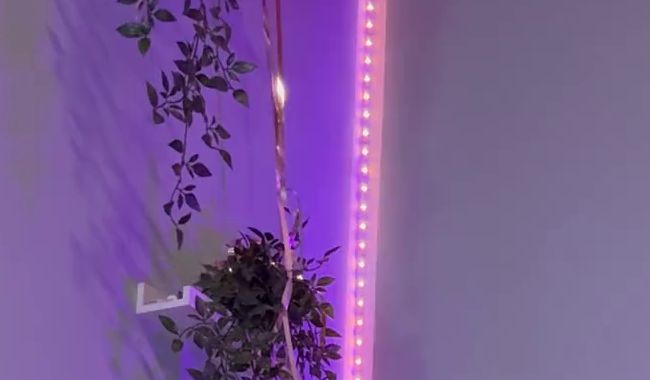 Download: lisanimmersatt69 - Ich mach’s mir während in meinem Arsch der Analplag ist ?