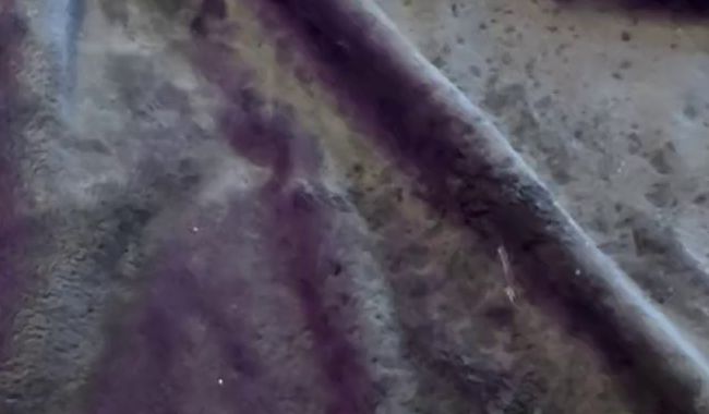 Download: lisanimmersatt69 - Extrem Squirting ?alles komplett nass ?