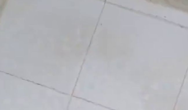 Download: lithbettgoddess - Ich denke unter der Dusche an einen knackigen Po.