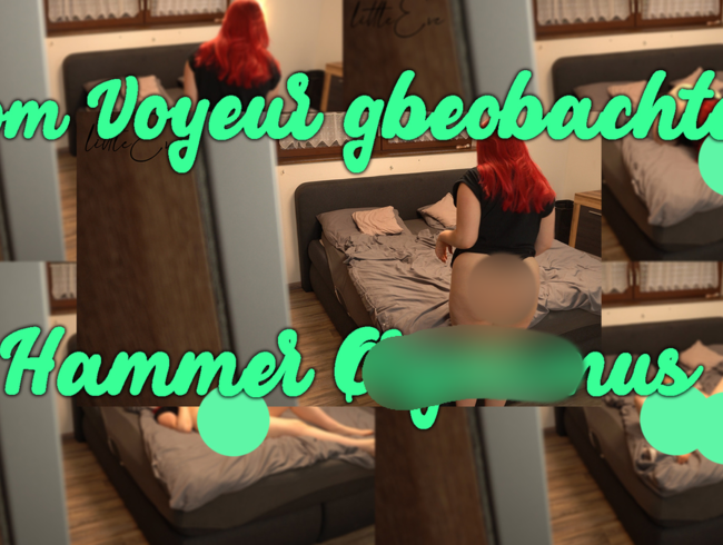 Download: little_Eve - Vom Voyeur beobachtet - Hammer Orgasmus