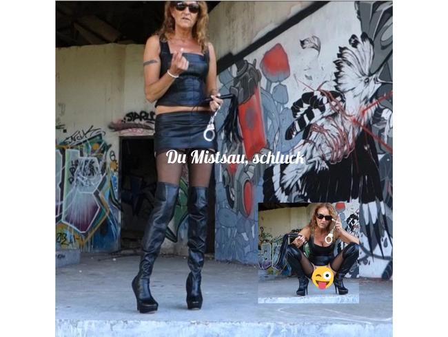 Download: lynli - Du Mistsau, schluck