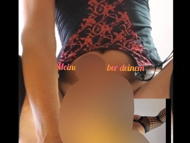 Download: lynli - Meine Pussy über deinem Gesicht