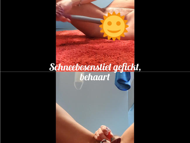 Download: lynli - Schneebesenstiel gefickt, behaart