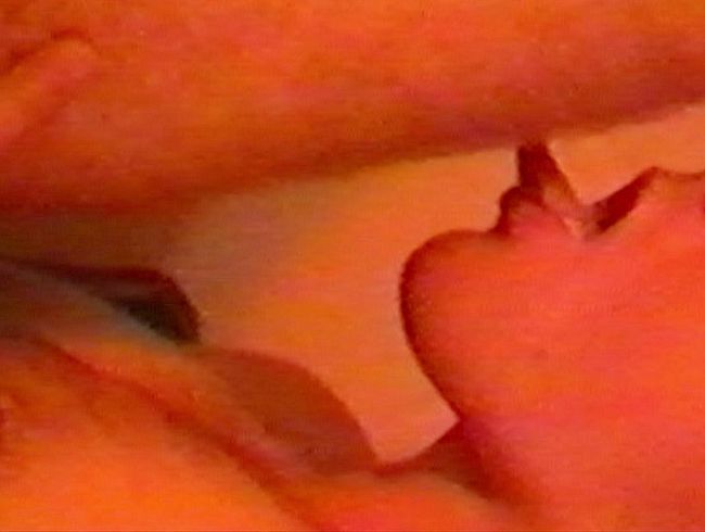 Download: maximum_s_undressed - Bi Teen Spermaschlucker Boy - mit 18 jede Menge Sperma der Freunde geschluckt - und 3x abspritzen