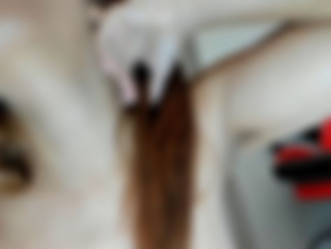 Download: miabush - Behaarte Achselhöhlen und Tittenanbetung für dich, Fetischist